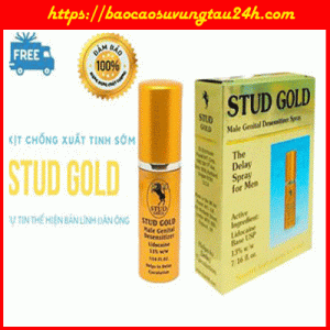 chai-xit-stud-100-gold